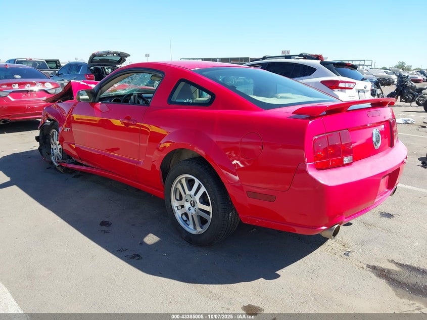 1ZVFT82H165169536 2006 FORD MUSTANG photo no. 3
