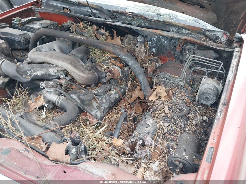 2004 Suzuki Xl-7 Ex/Lx VIN: JS3TX92VX44105442 Lot: 43385024