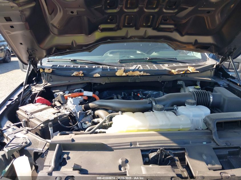 2025 Ford F-150 Xlt VIN: 1FTFW3LD4SFA81318 Lot: 43385074