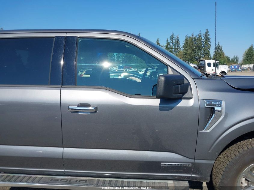 2025 Ford F-150 Xlt VIN: 1FTFW3LD4SFA81318 Lot: 43385074