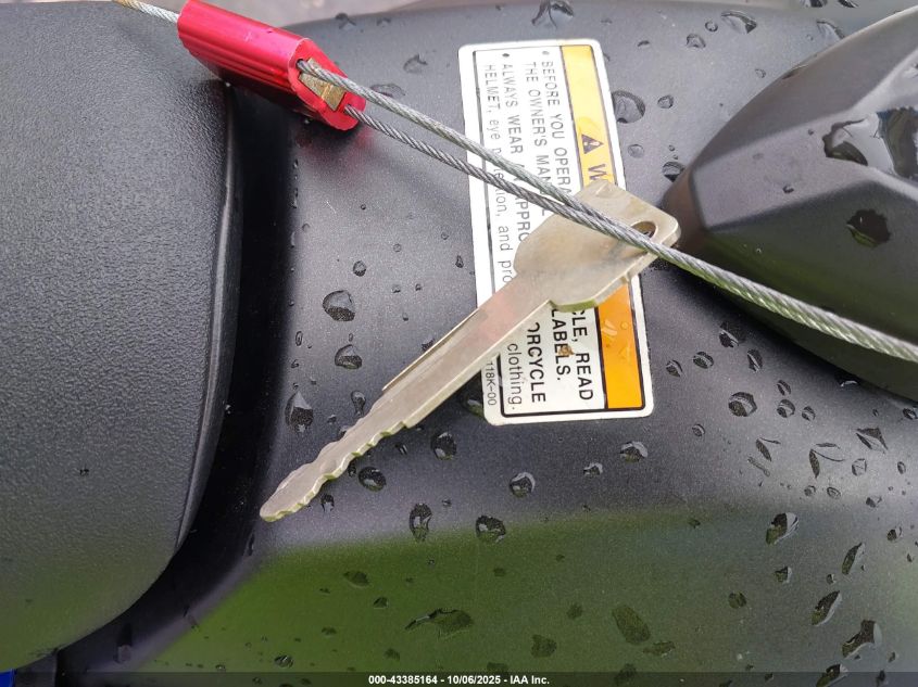 2013 Yamaha Wr250 R VIN: JYADG21E7DA006120 Lot: 43385164