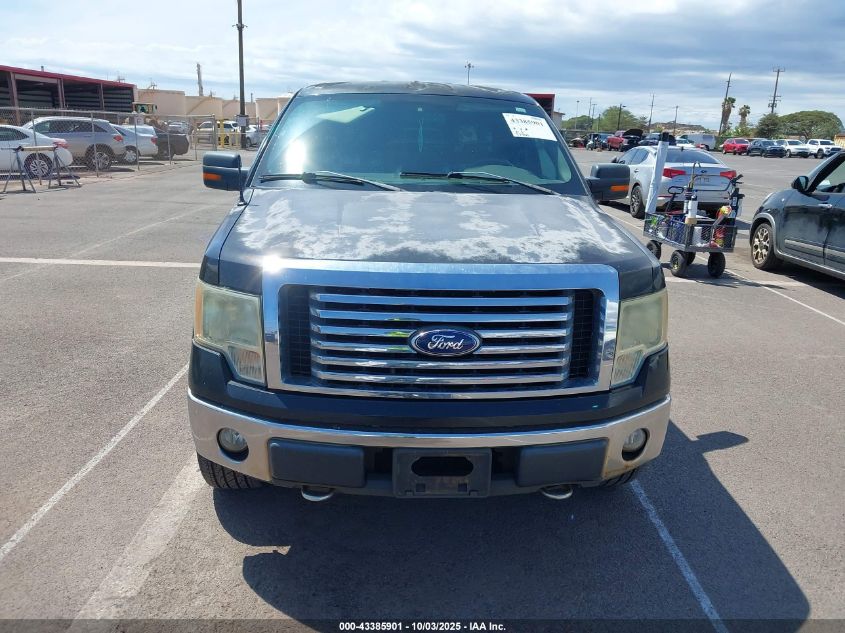 2010 Ford F-150 Fx4/Lariat/Xl/Xlt VIN: 1FTFX1EV8AKE01060 Lot: 43385901