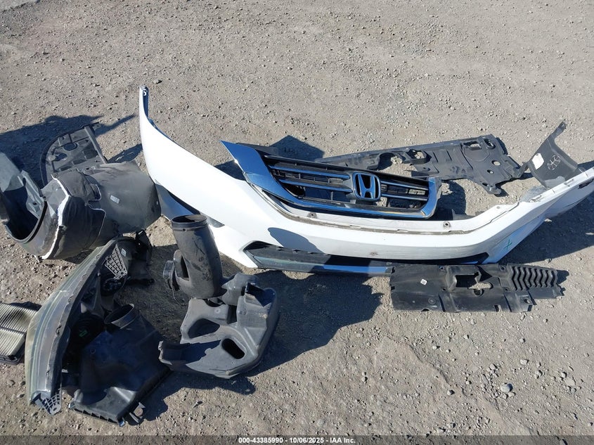 2015 Honda Accord Lx VIN: 1HGCR2F38FA181031 Lot: 43385990