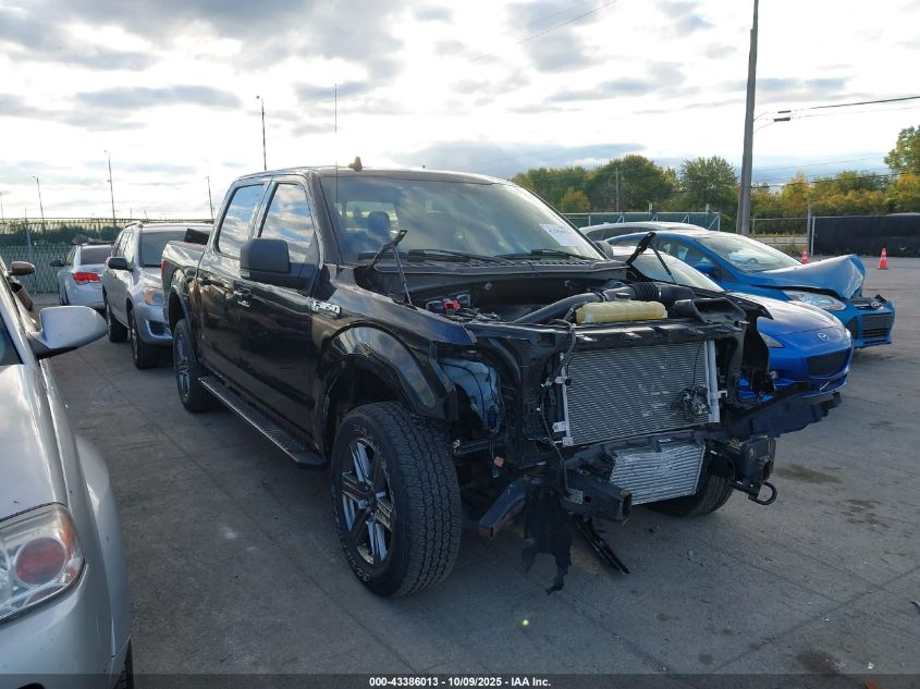 2020 Ford F-150 Xlt VIN: 1FTEW1E49LKF52823 Lot: 43386013