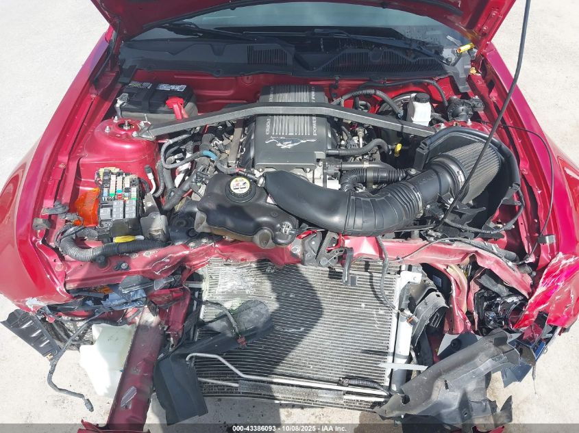 2010 Ford Mustang Gt/Gt Premium VIN: 1ZVBP8CH3A5117058 Lot: 43386093