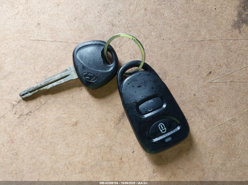 2009 Hyundai Santa Fe Se VIN: 5NMSH13E99H310580 Lot: 43386194