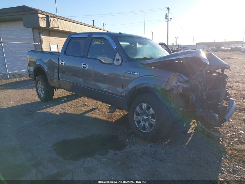 FORD F-150 FX4/HARLEY-DAVIDSON/KING RANCH/LARIAT/PLATINUM/XL/XLT