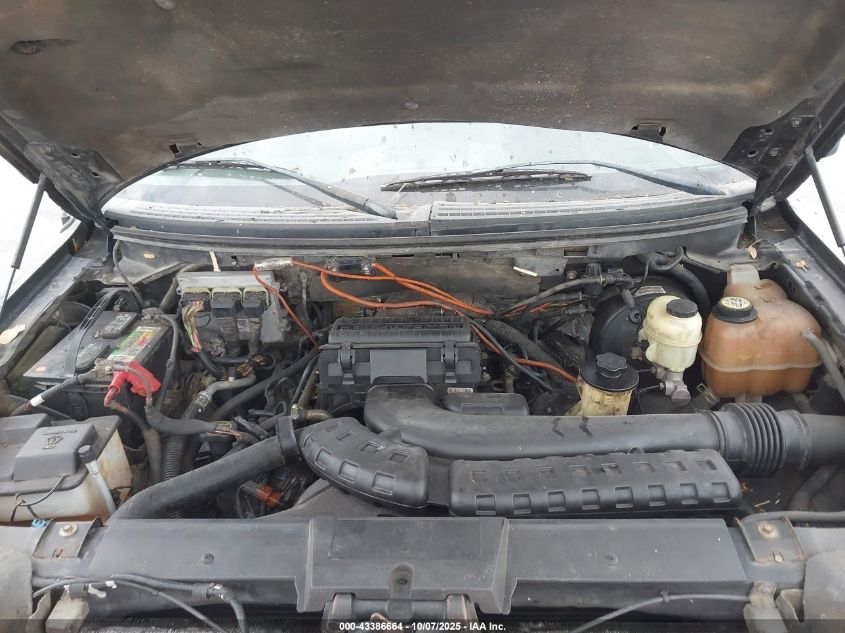 2008 Ford F-150 60Th Anniversary/Fx4/King Ranch/Lariat/Xlt VIN: 1FTPW14V78FB58854 Lot: 43386664