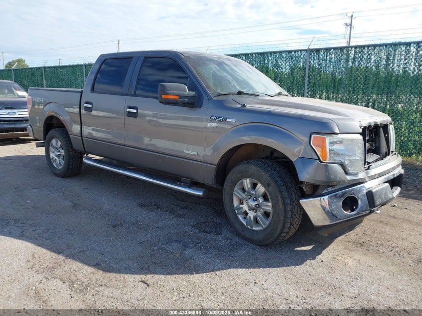 FORD F-150 XLT