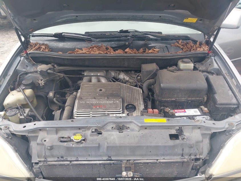 2002 Lexus Rx 300 VIN: JTJGF10U020127238 Lot: 43387645