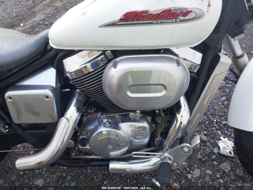 2001 Honda Vt750 Dc VIN: JH2RC440X1K501815 Lot: 43388125