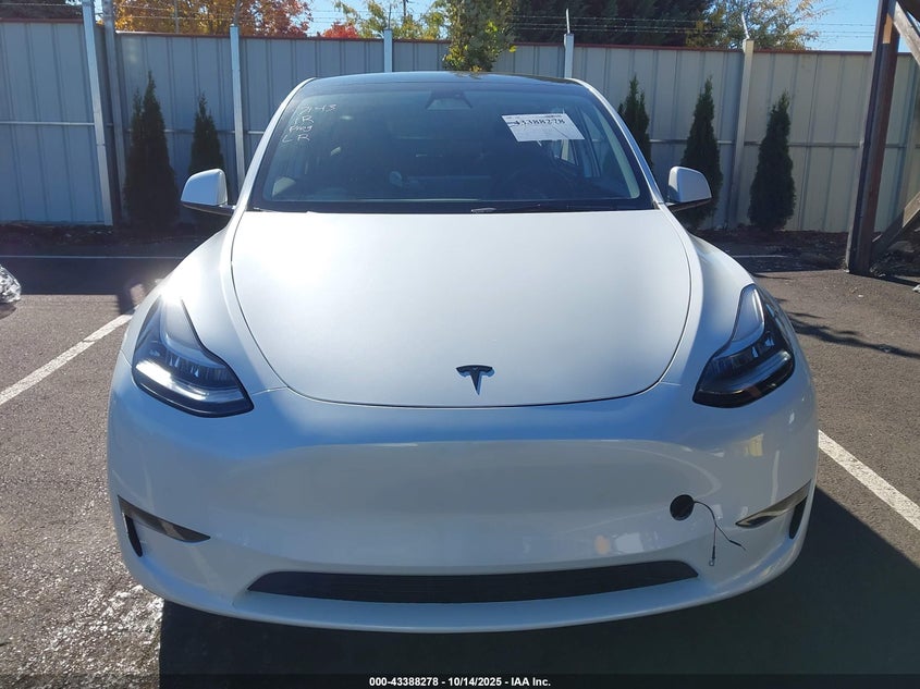 2023 Tesla Model Y Awd/Long Range Dual Motor All-Wheel Drive VIN: 7SAYGDEEXPA075942 Lot: 43388278