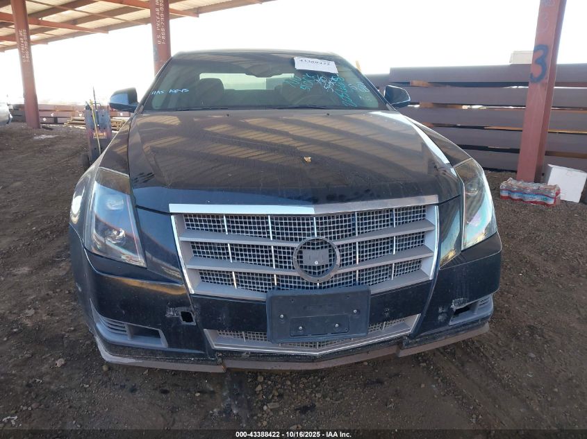 2008 Cadillac Cts Standard VIN: 1G6DV57V780205668 Lot: 43388422