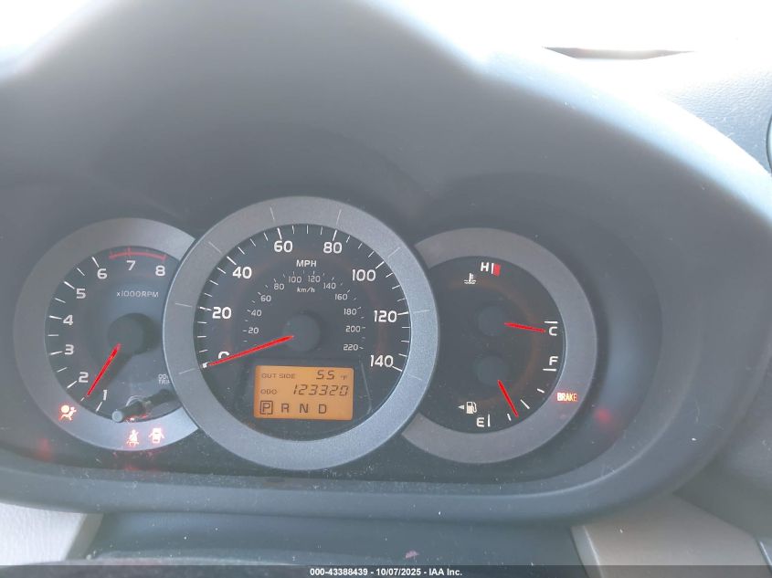 2006 Toyota Rav4 VIN: JTMZD33V666020232 Lot: 43388439