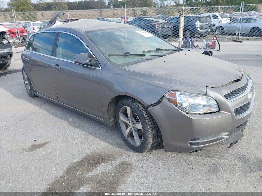 CHEVROLET MALIBU 1LT