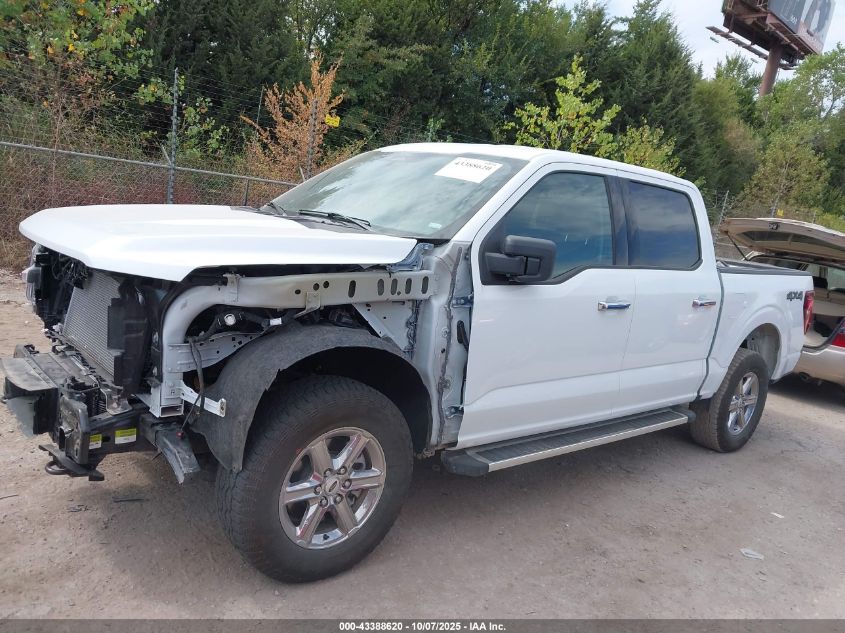 2025 Ford F-150 Xlt VIN: 1FTFW3L83SKE70106 Lot: 43388620