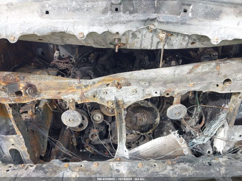 2008 Toyota Tundra Base 5.7L V8 VIN: 5TFDV54168X050732 Lot: 43388857