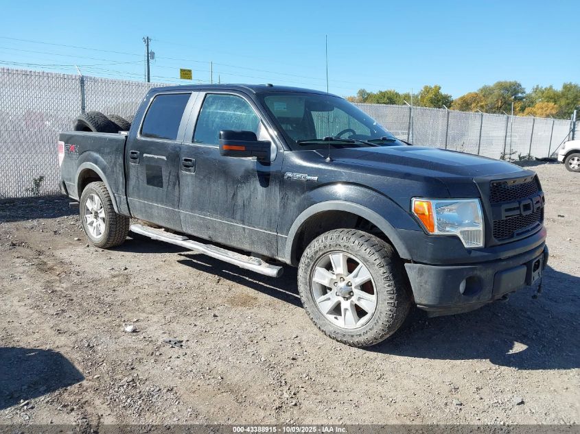 FORD F-150 FX4/HARLEY-DAVIDSON/KING RANCH/LARIAT/PLATINUM/XL/XLT
