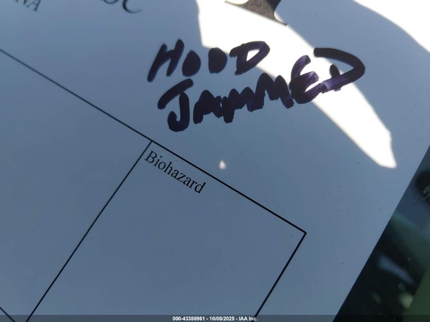 2013 Toyota Sienna Xle V6 8 Passenger VIN: 5TDYK3DC5DS373766 Lot: 43388961