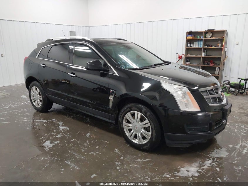 CADILLAC SRX LUXURY COLLECTION