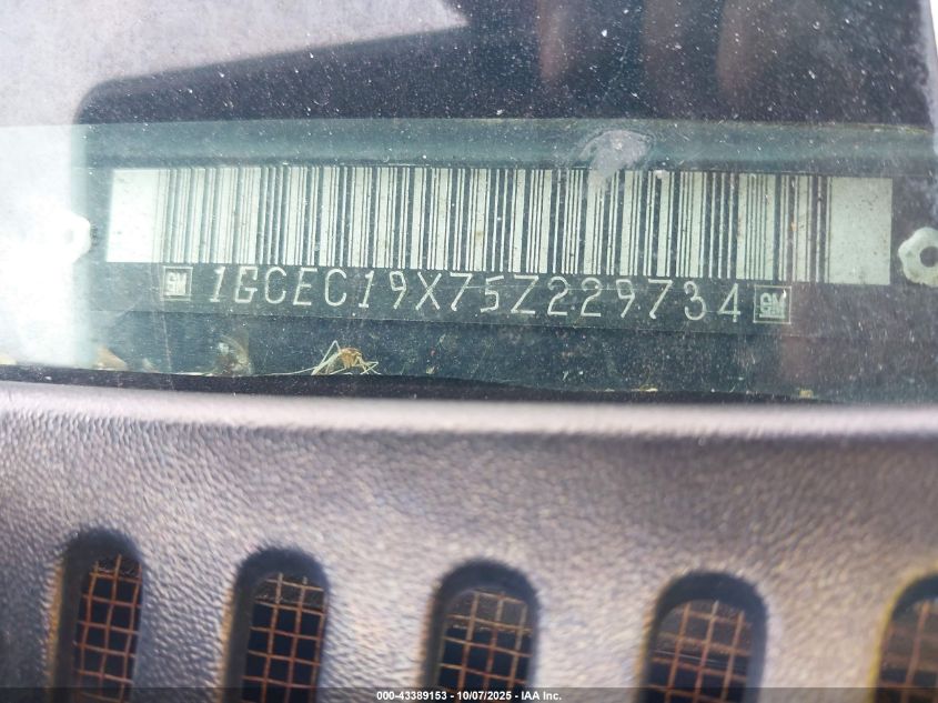 2005 Chevrolet Silverado 1500 Ls VIN: 1GCEC19X75Z229734 Lot: 43389153
