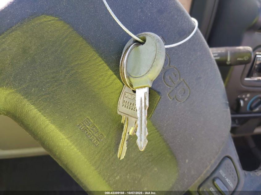 2003 Jeep Wrangler Sahara VIN: 1J4FA59S43P305628 Lot: 43389188