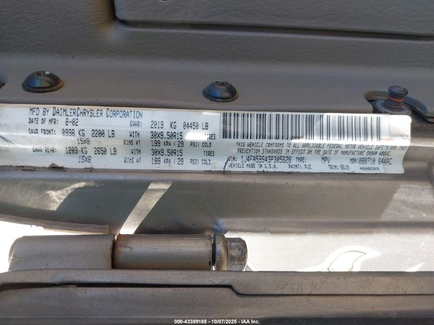 2003 Jeep Wrangler Sahara VIN: 1J4FA59S43P305628 Lot: 43389188