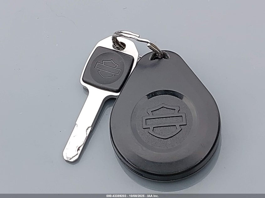 2024 Harley-Davidson Fxbbs VIN: 1HD1YYK17RB032199 Lot: 43389203