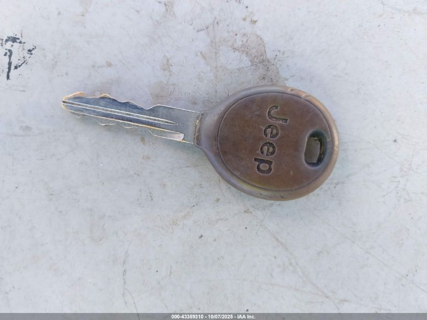 2002 Jeep Wrangler Sahara VIN: 1J4FA59S62P711621 Lot: 43389310