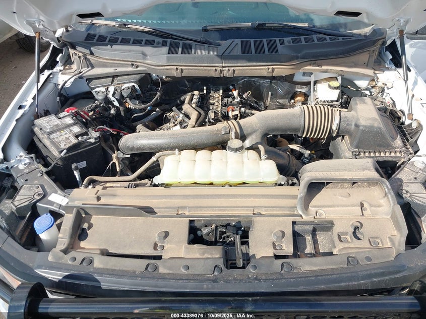 2024 Ford F-150 Xl VIN: 1FTFX1L86RKF04146 Lot: 43389376