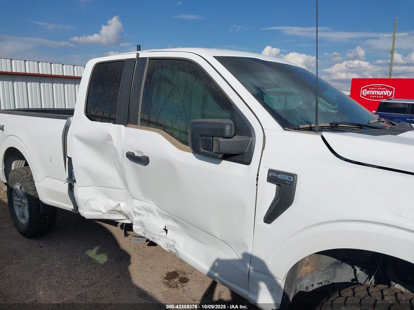 2024 Ford F-150 Xl VIN: 1FTFX1L86RKF04146 Lot: 43389376