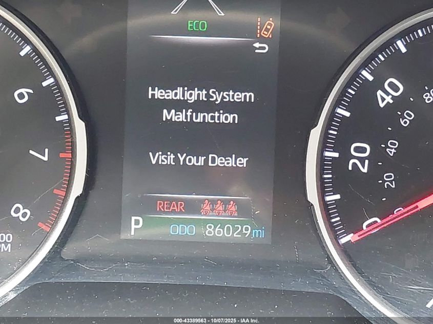 2019 Toyota Rav4 Xle Premium VIN: JTMC1RFV8KD510495 Lot: 43389563