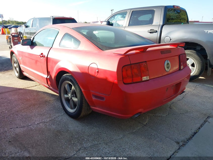 1ZVFT82H655132612 2005 FORD MUSTANG photo no. 3