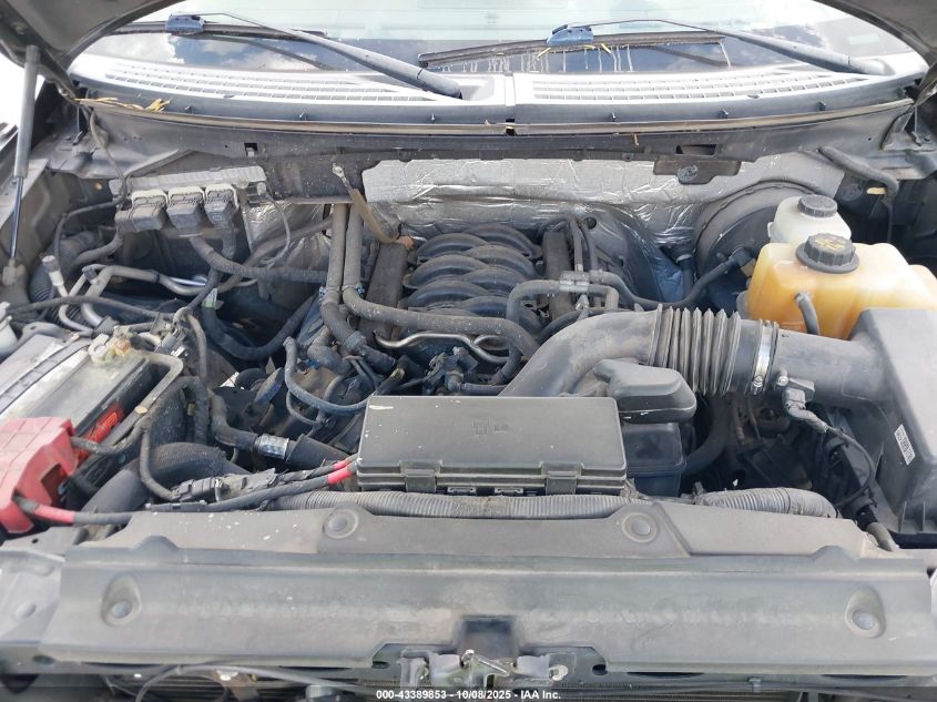 2013 Ford F-150 Xlt VIN: 1FTFW1CF3DKF93913 Lot: 43389853