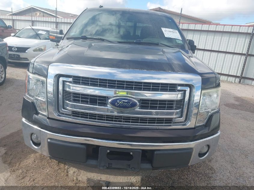 2013 Ford F-150 Xlt VIN: 1FTFW1CF3DKF93913 Lot: 43389853