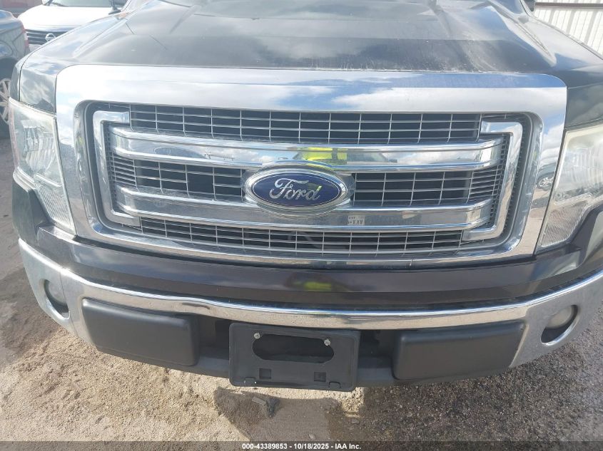 2013 Ford F-150 Xlt VIN: 1FTFW1CF3DKF93913 Lot: 43389853