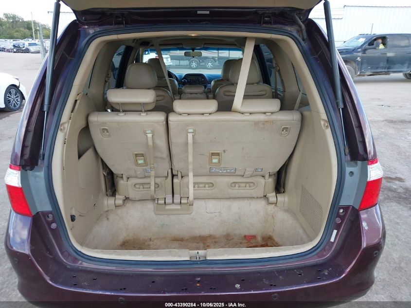 2007 Honda Odyssey Ex-L VIN: 5FNRL38627B426373 Lot: 43390284