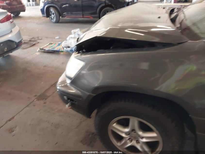 2003 Lexus Rx 300 VIN: JTJHF10U330310087 Lot: 43391070