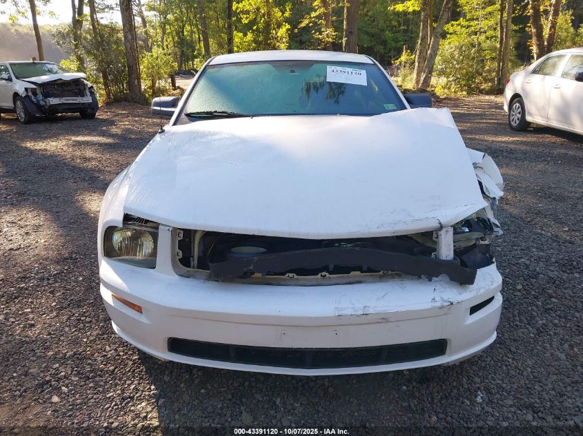 2005 Ford Mustang Gt Deluxe/Gt Premium VIN: 1ZVFT82HX55123301 Lot: 43391120