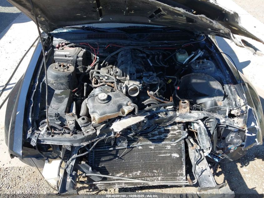 2008 Ford Mustang V6 Deluxe VIN: 1ZVHT80N685110597 Lot: 43391168