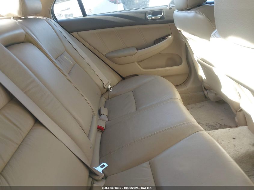 2007 Honda Accord 3.0 Ex VIN: 1HGCM66507A079022 Lot: 43391365