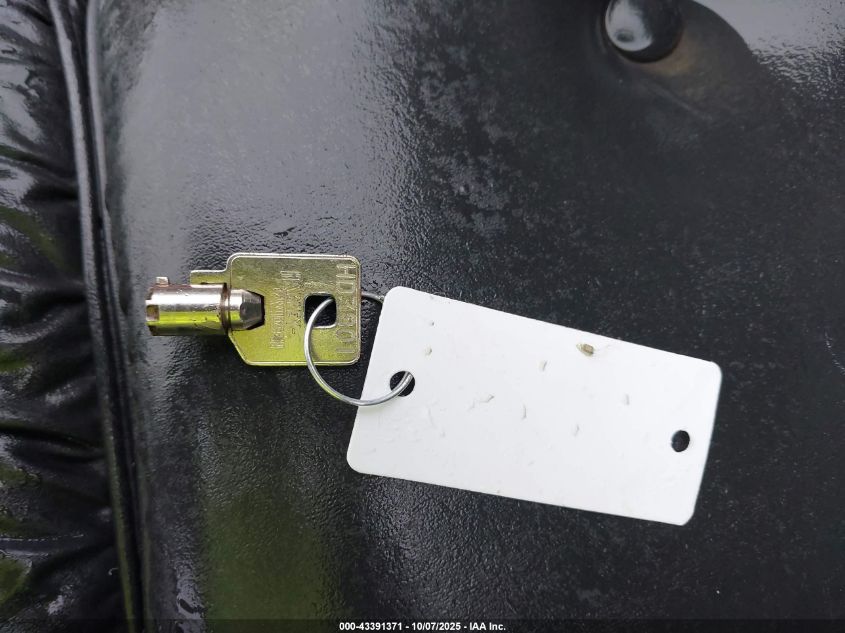 2003 Harley-Davidson Flhtcui Shrine VIN: 1HD1FLW113Y602947 Lot: 43391371