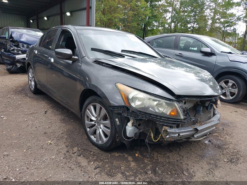 HONDA ACCORD 3.5 EX-L