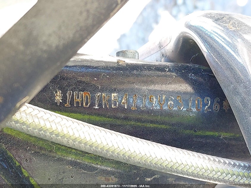 2009 Harley-Davidson Flhx VIN: 1HD1KB4119Y631026 Lot: 43391973