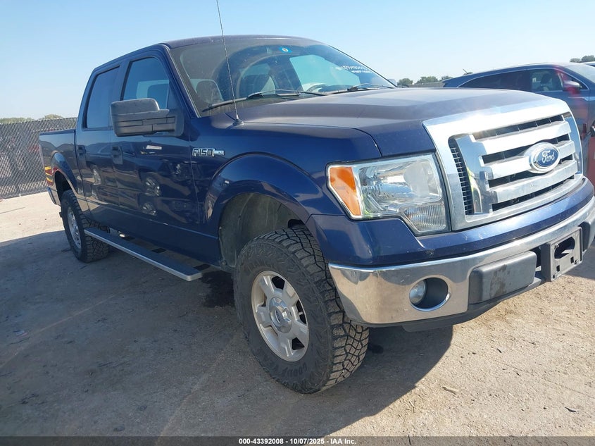 FORD F-150 XLT