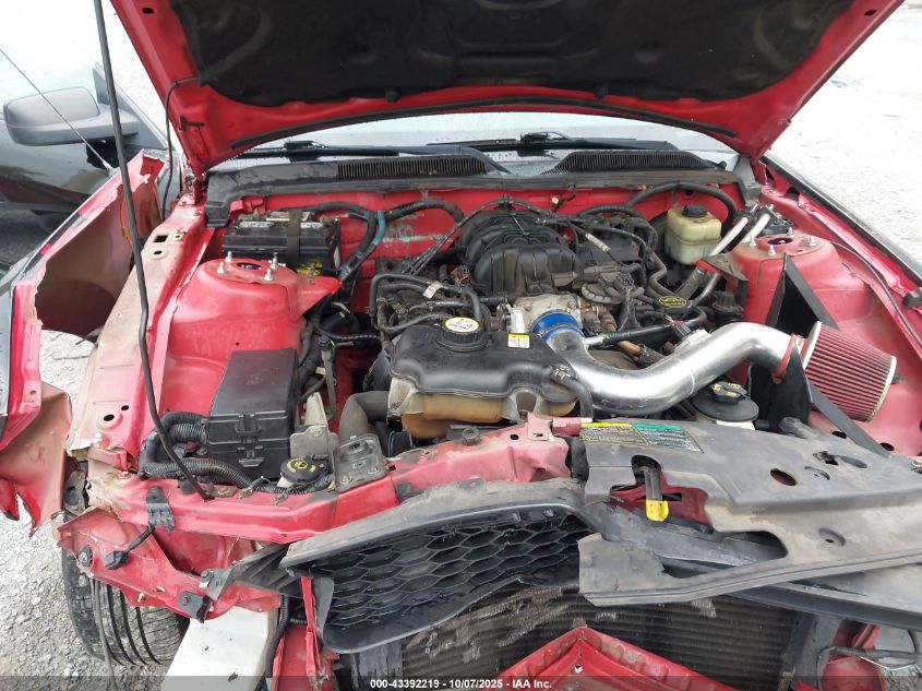 2005 Ford Mustang V6 Deluxe/V6 Premium VIN: 1ZVFT80N255154941 Lot: 43392219