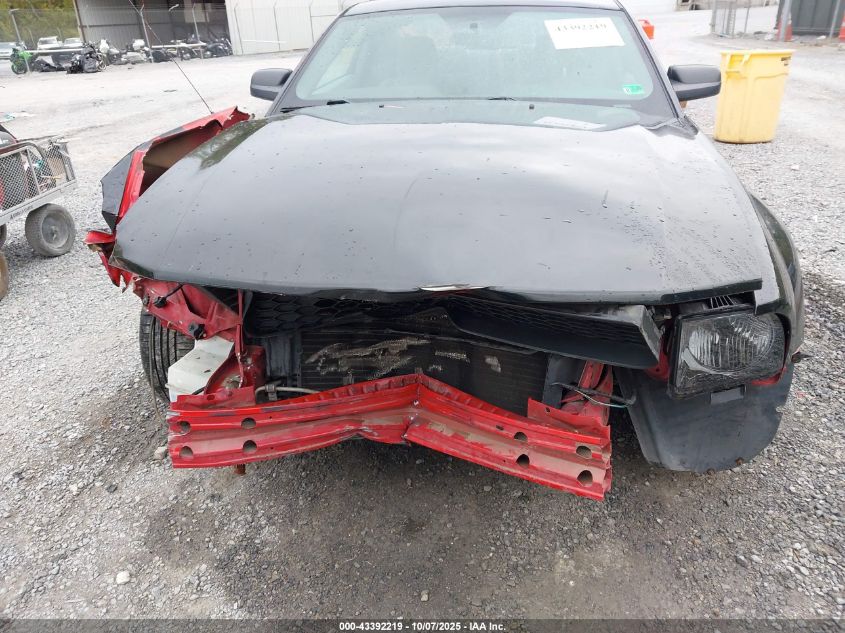 2005 Ford Mustang V6 Deluxe/V6 Premium VIN: 1ZVFT80N255154941 Lot: 43392219