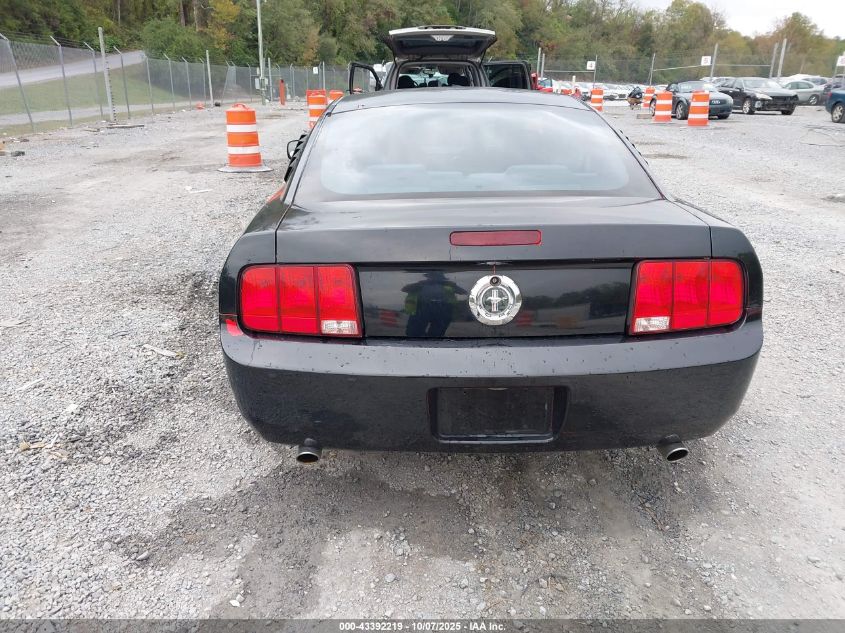 2005 Ford Mustang V6 Deluxe/V6 Premium VIN: 1ZVFT80N255154941 Lot: 43392219