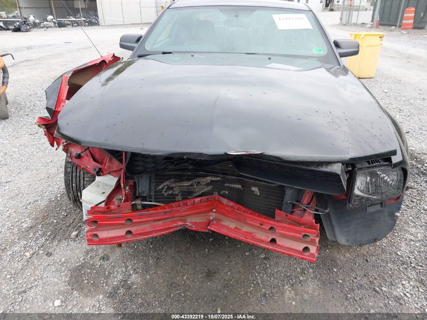 2005 Ford Mustang V6 Deluxe/V6 Premium VIN: 1ZVFT80N255154941 Lot: 43392219