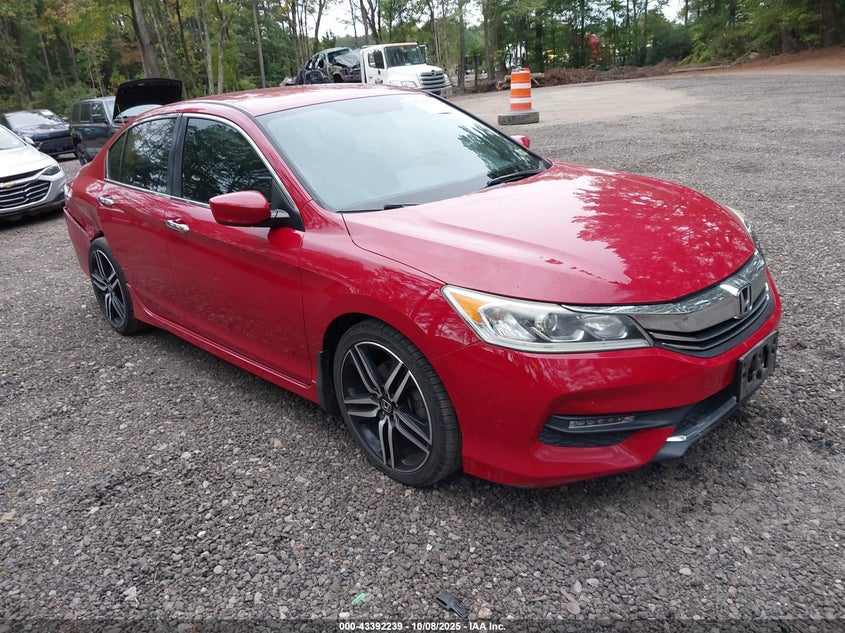 HONDA ACCORD SPORT SE